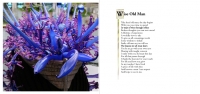 poetrysample-1